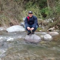 ronald Delgado的照片