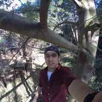 Fotos de Alonso Carvajal