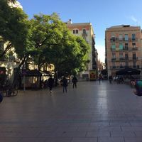 Nausica Vicens's Photo