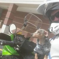 Patrick Grady的照片