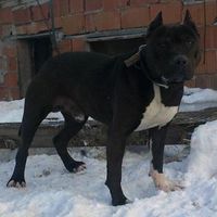 Mustafa Yiğit's Photo