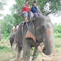 Maria Eugenia Sacca的照片