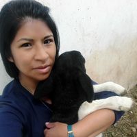 Paula López Poquioma's Photo