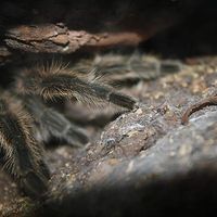 Angie Ramirez的照片