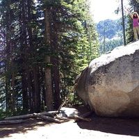 Desiree Wilson's Photo