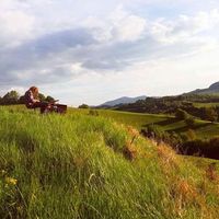 Casper Munns's Photo