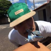 Lucas Castro的照片