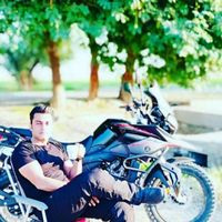 Alireza Javadifar's Photo