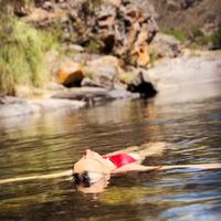 Photos de Emilia Schibba