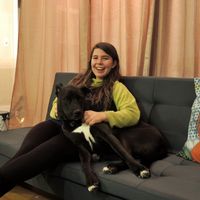 Rachel Sussman的照片