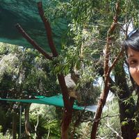 Фотографии пользователя Afni Salmi