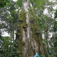 josue  chaves的照片