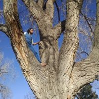 Photos de Rob DeGeorge