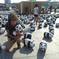 Damien Rongier的照片