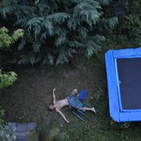 Фотографии пользователя Yair Oren