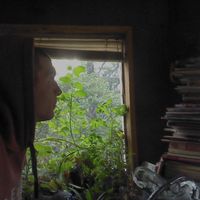 Mauro Grosso的照片