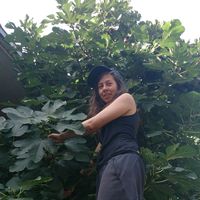 Yolanda  Wunderlich's Photo