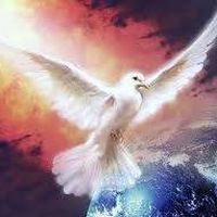 Photos de Vikki Jarman