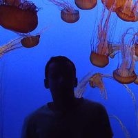 Pedro Oliveira's Photo