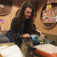 Allison Lloyd's Photo