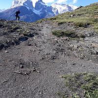 Cristina Saldias的照片