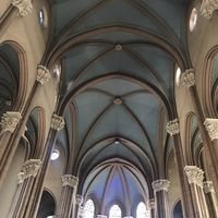 Soheila M D的照片