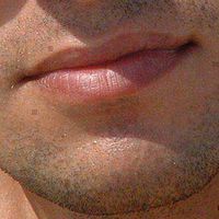 sam Husseini's Photo