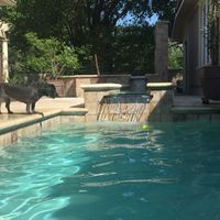 Chuck Martino's Photo