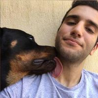 Zdjęcia użytkownika Omar Ahmed