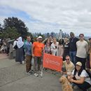 SEA Crash 2026's picture