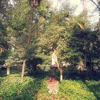 Ishtar Geraldino's Photo