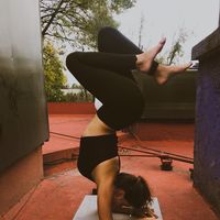 Kristýna Nedvědová的照片