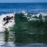 Francisco Almeyda's Photo