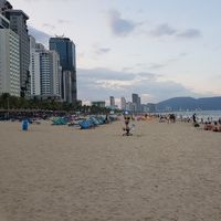 Andrew Bates的照片