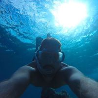 Görgei Dávid的照片