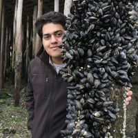 Bastian Muñoz's Photo