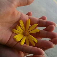 Sahander Nur Ozdil's Photo