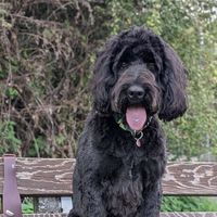 Agnès Vuille's Photo