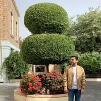 Fotos von Khalid AlShnanah