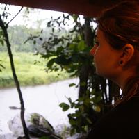 Sabina Talibzade的照片