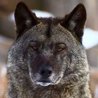 MrNobody Erorr's Photo