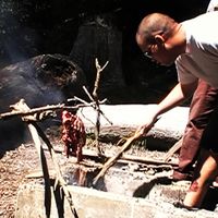 Gaston  Matus的照片