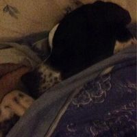 Federica Morando's Photo