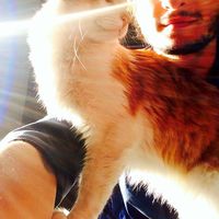 Fabio Lazzarini's Photo