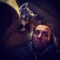 Federico Sylvester的照片