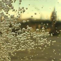 Photos de Shad Khurram