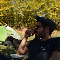 Nikos Liatis的照片