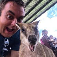 Фотографии пользователя Trent Sander