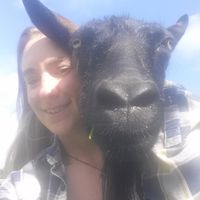 Lily Elderberry的照片