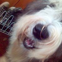 Rodrigo Chacon Chullen's Photo